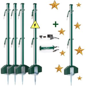 RoFlexs Premium E 145 Advents-Set